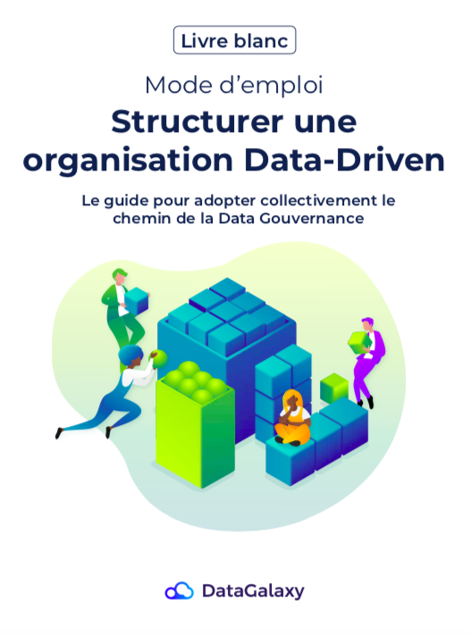Ebook DataGalaxy page 1