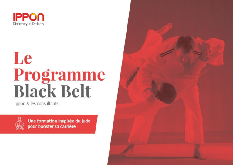 Ippon – Les consultants, Ippon et le programme Black Belt