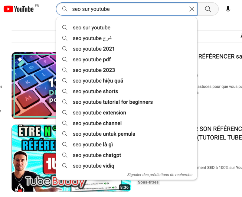 SEO-YouTube-saisie-auto